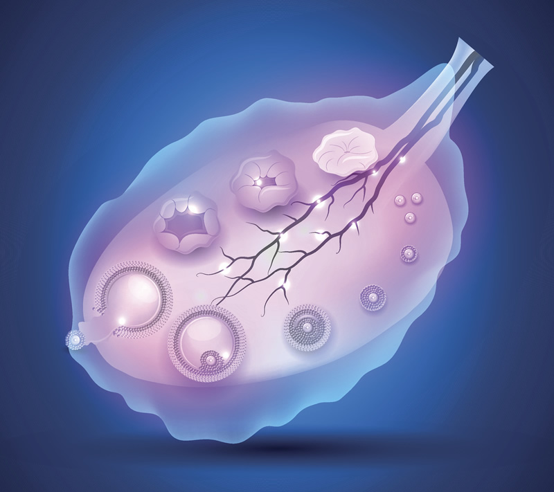 石家庄私立试管机构成功率和费用一览，钱都花哪去了